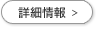 詳細情報